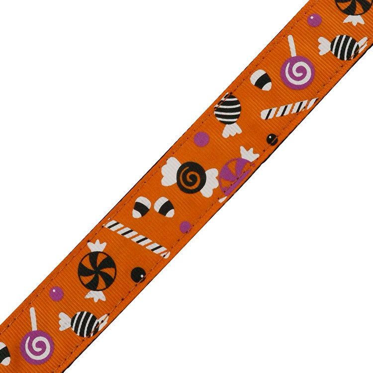 High Quality Heavy Duty Metal Buckle Charms Pet Dog Collar and Leash