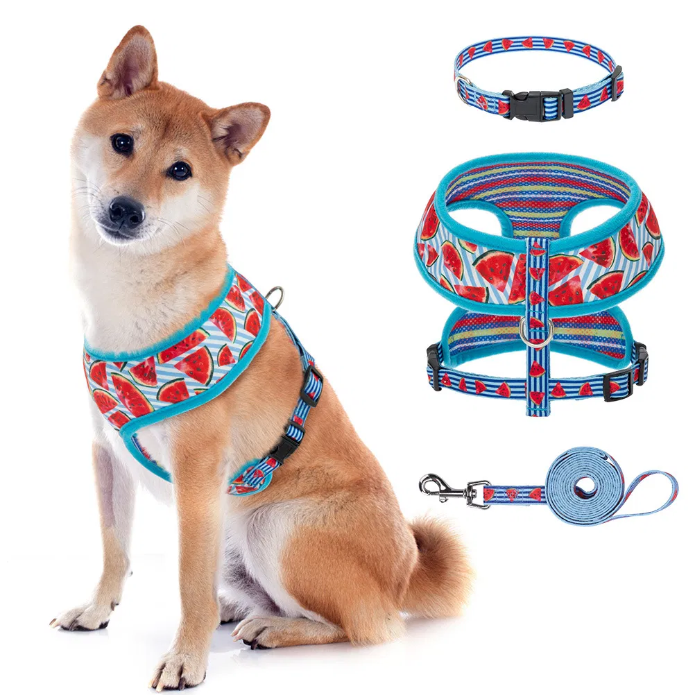 Adjustable Dog Harness Body Belt Safety Backpack Leash Pet Products