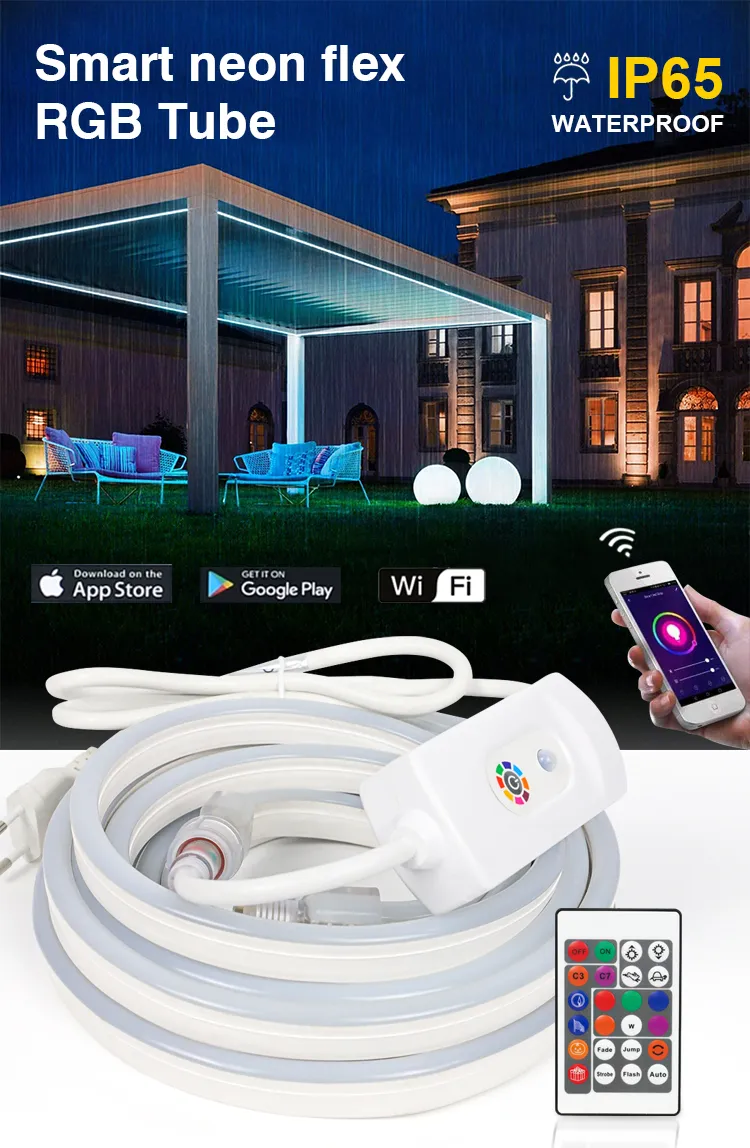 LED Smart Neon Lighting 1