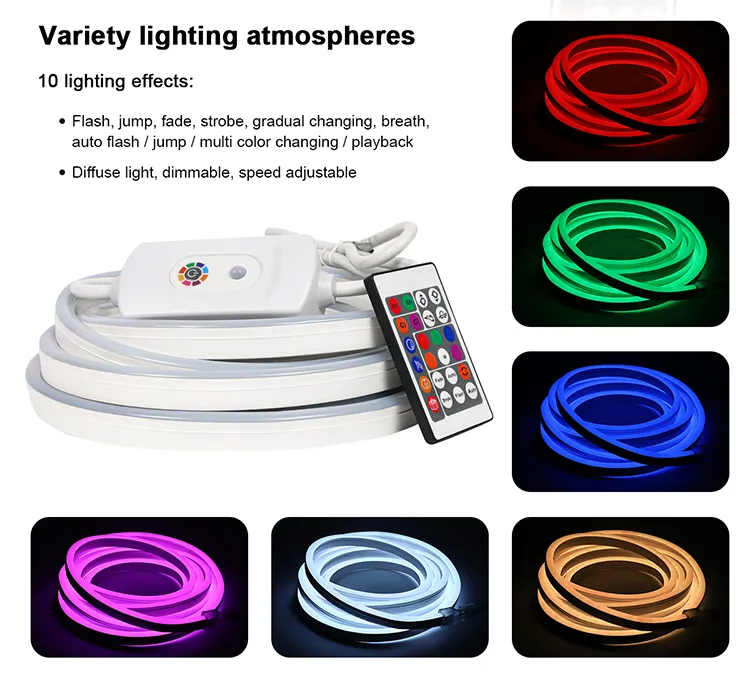 LED Smart Neon Lighting 2