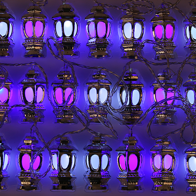 Multicolor LED Indoor/Outdoor Wall Decorative Lights Christmas Ambiente Decorative Lighting Product