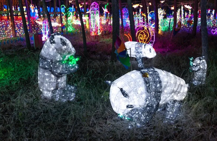 Outdoor Decorative Rope Light
