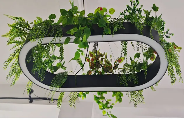 Oval Biophilic Lighting 1