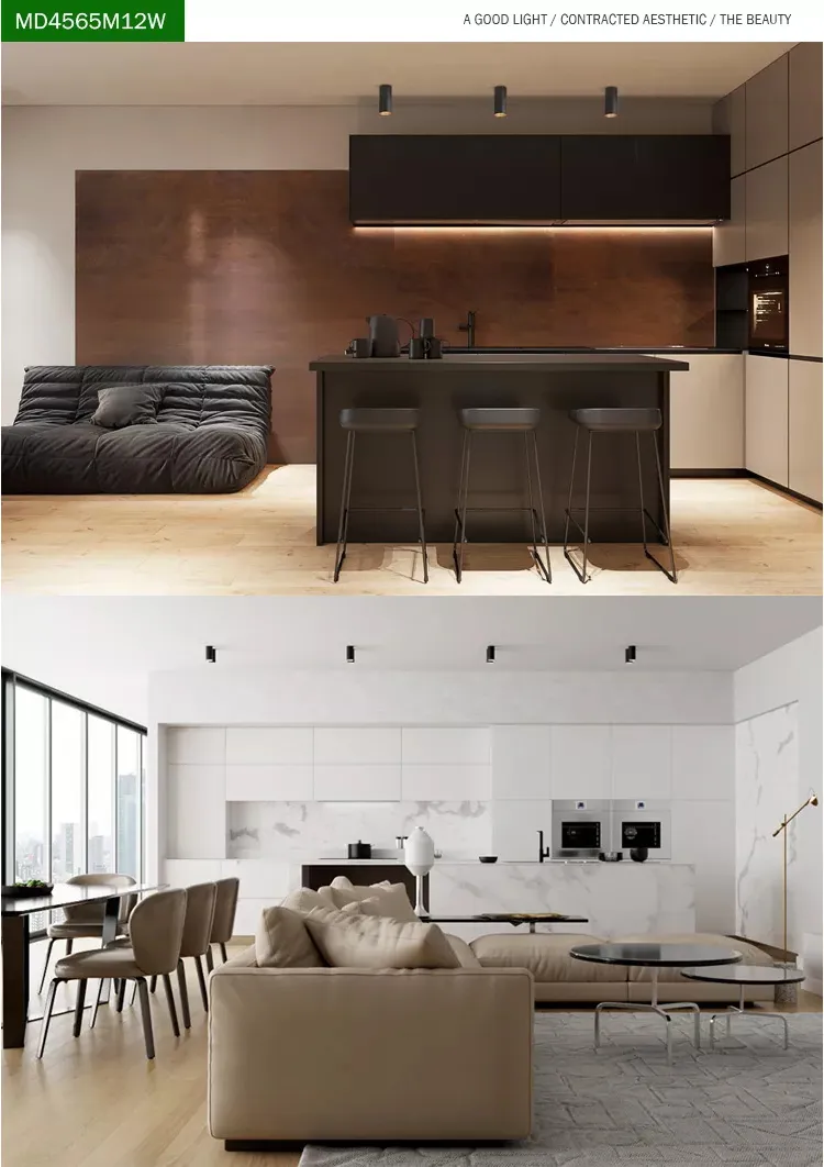 Architectural Modern Decorative Commercial Downlight
