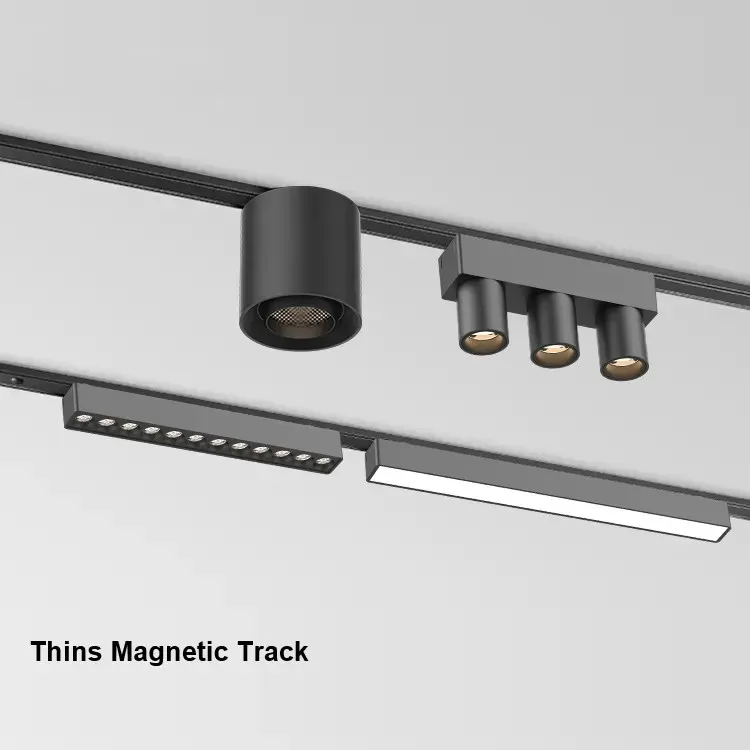 Track Light Detail