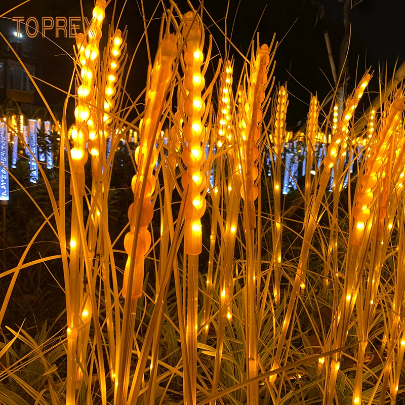 Garden Wheat Light