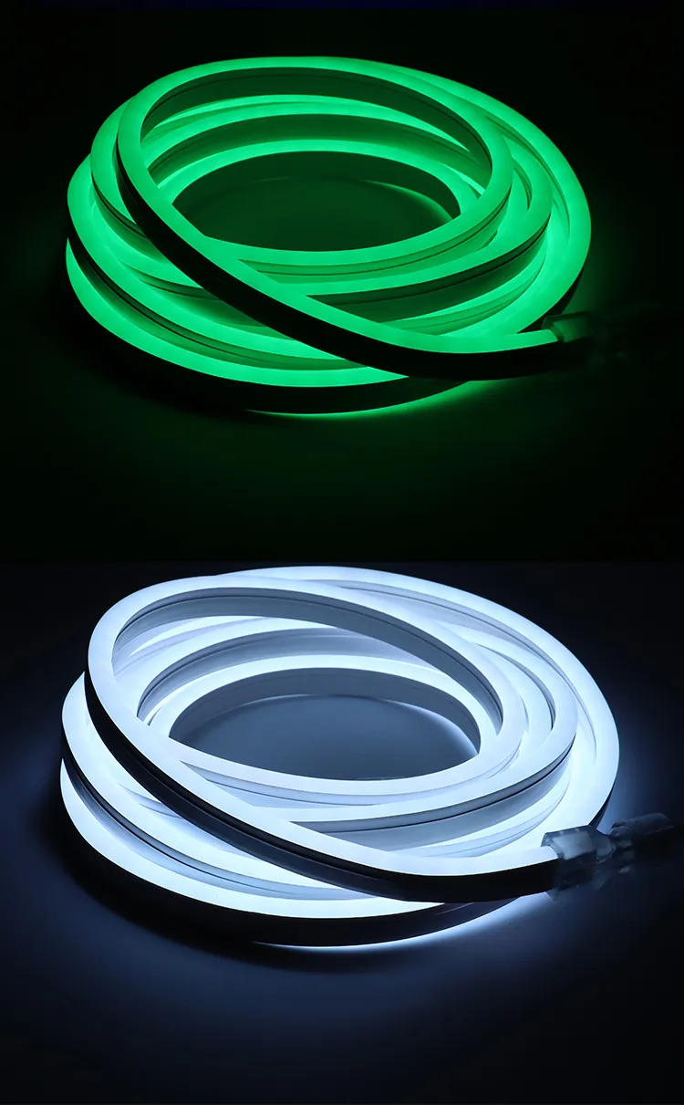 LED Smart Neon Lighting 11