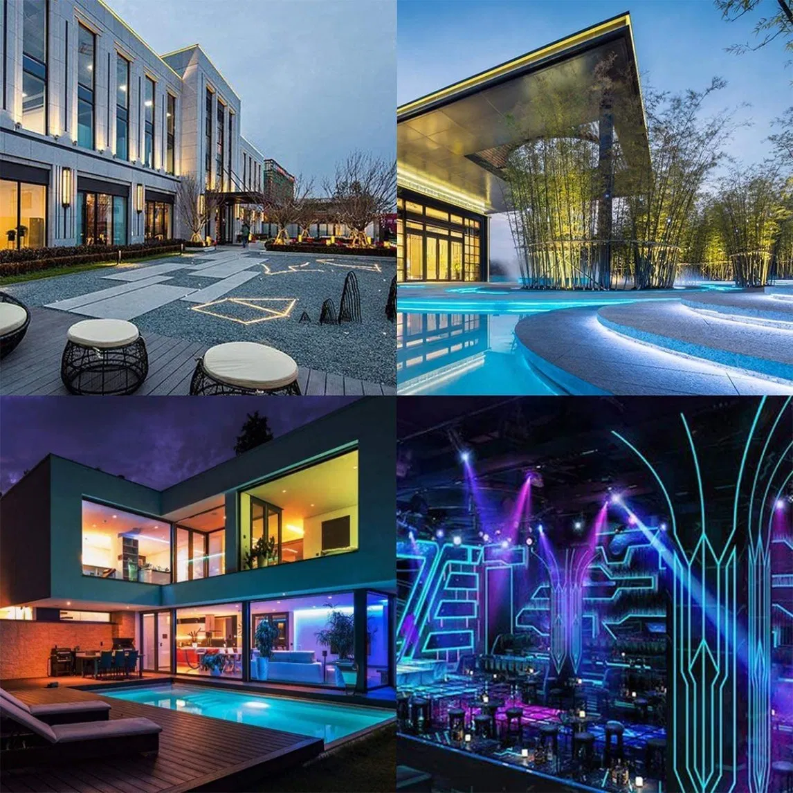 China Direct Supply Custom LED SMD 5050 RGB WiFi LED Christmas Decorative Lighting/Flexible Strip Lighting/LED Smart Neon Lighting