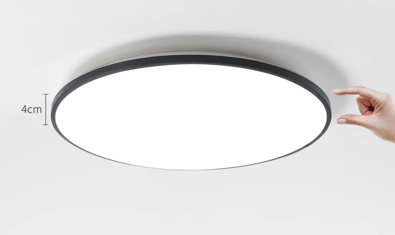 Modern Ceiling Lamp 6