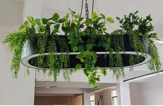 Oval Biophilic Lighting 2