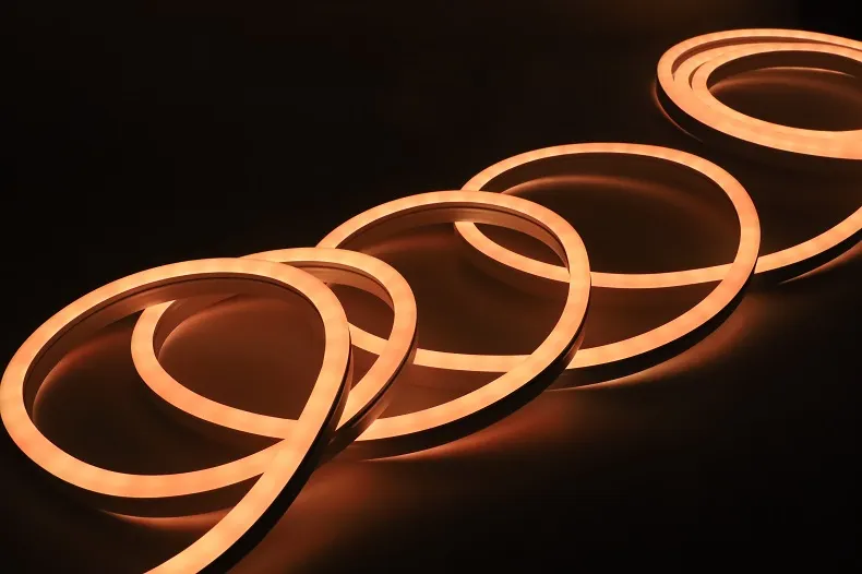 LED Neon Light Display 5