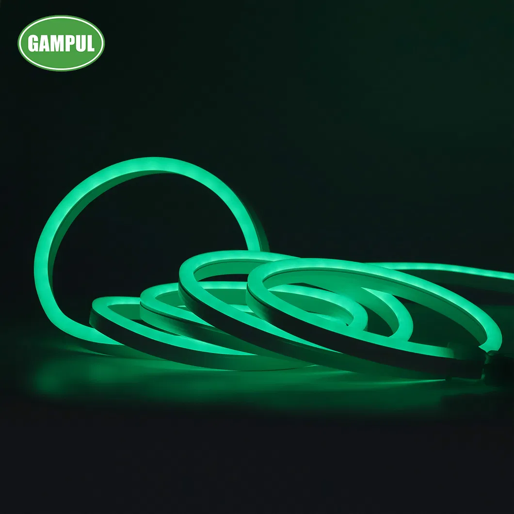 Smart Neon Lighting 2
