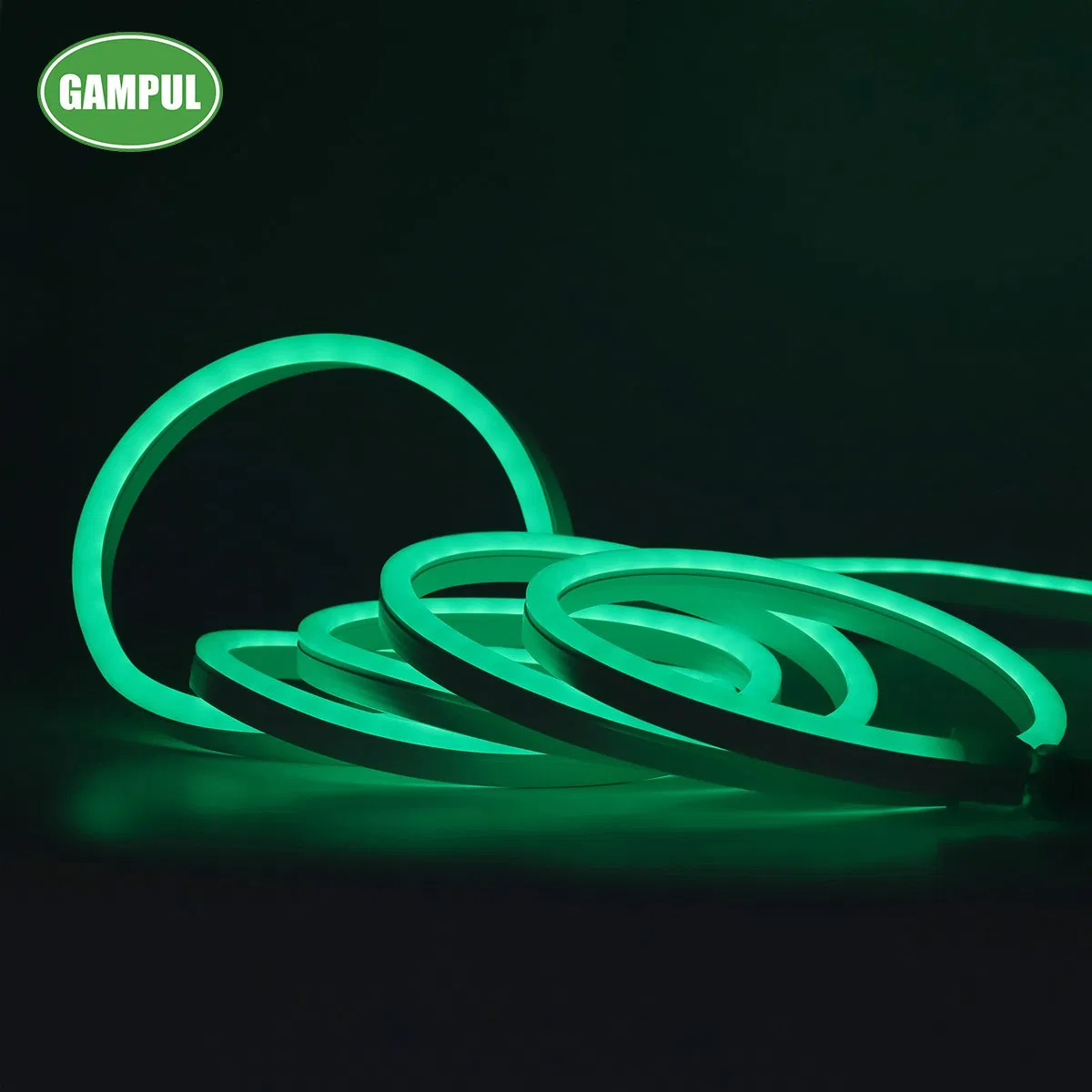 Custom LED SMD 5050 RGB WiFi Flexible Smart Neon Lighting/LED Strip Light/LED Christmas Decorative Lighting