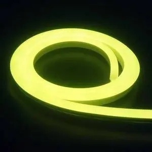 LED Neon Lightsstrip Decorative Lighting 5V USB Gift Neon Lamp for Bar