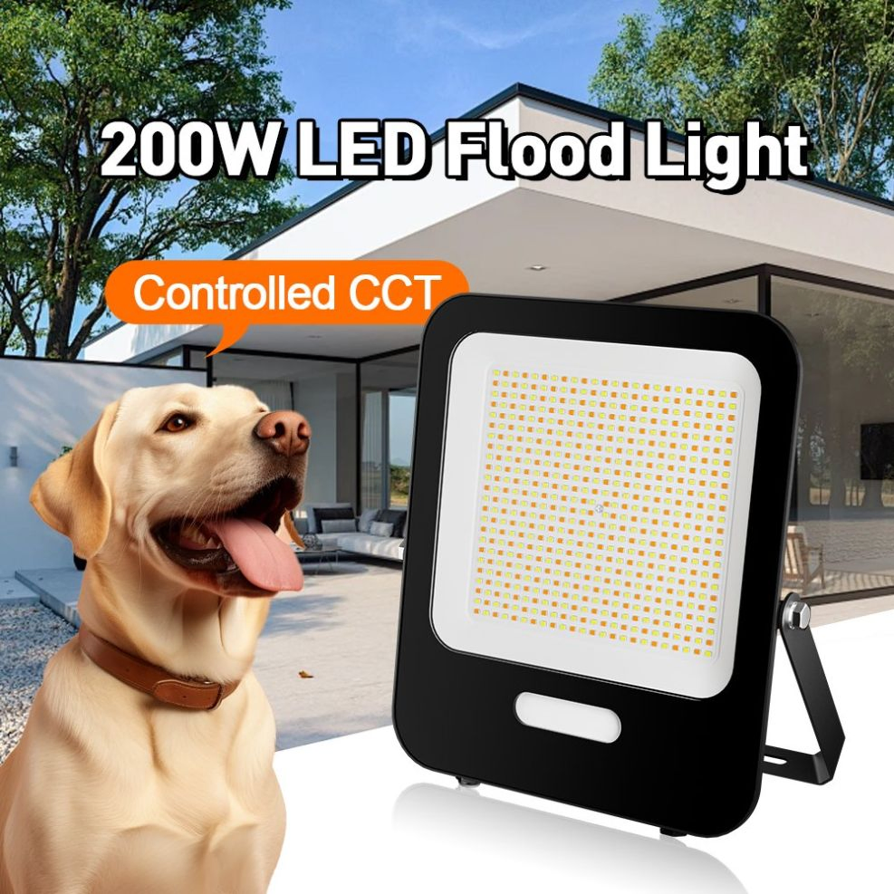 Portable LED Decorative Outdoor LED Lighting High Quality with Stand