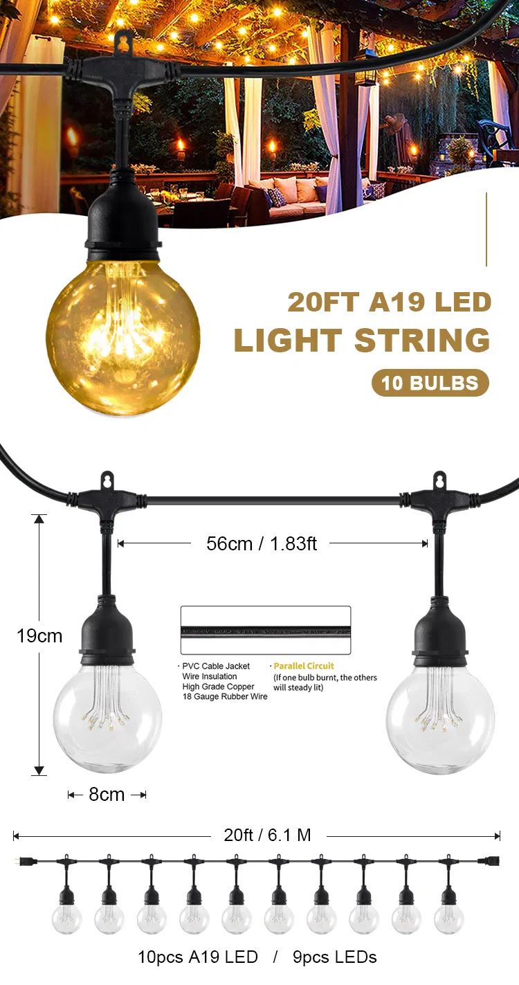 LED Decorative Lighting Details