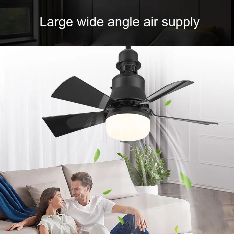 Ceiling Fan Lighting Detail 3