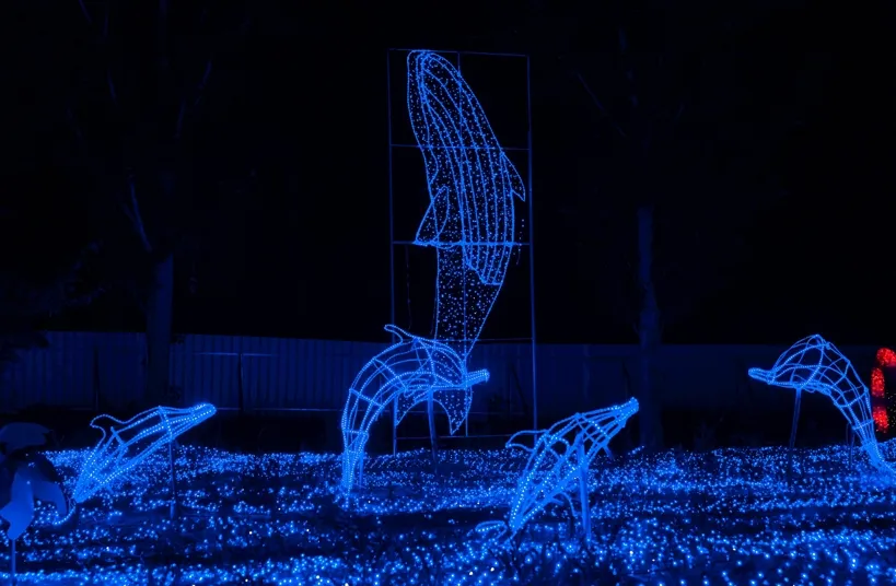 Flexible Rope Lighting