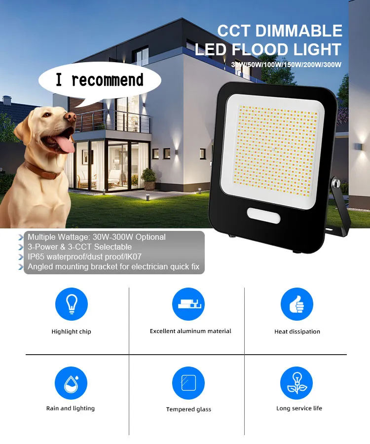 Portable LED Decorative Outdoor LED Lighting High Quality with Stand