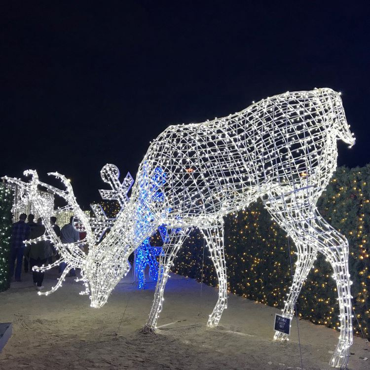 2025 New Christmas Large Outdoor Decorative Lighting Customization