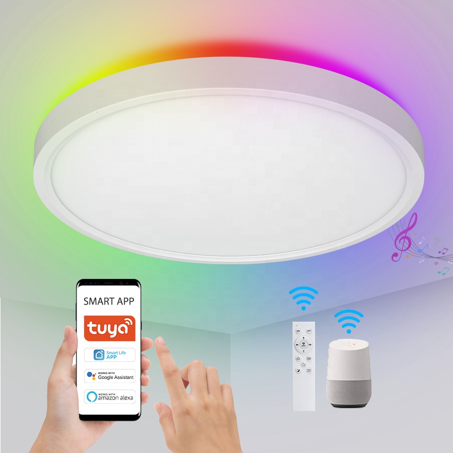 Smart Indoor Home Light 24W Light Ceiling WIFI Tuya APP Voice Control Multi Color Decoration 12inch 300mm LED Ceiling Light
