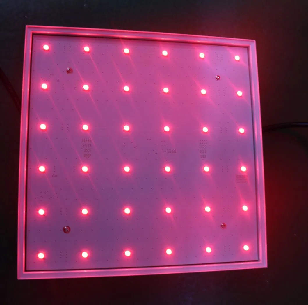Panel Size 2