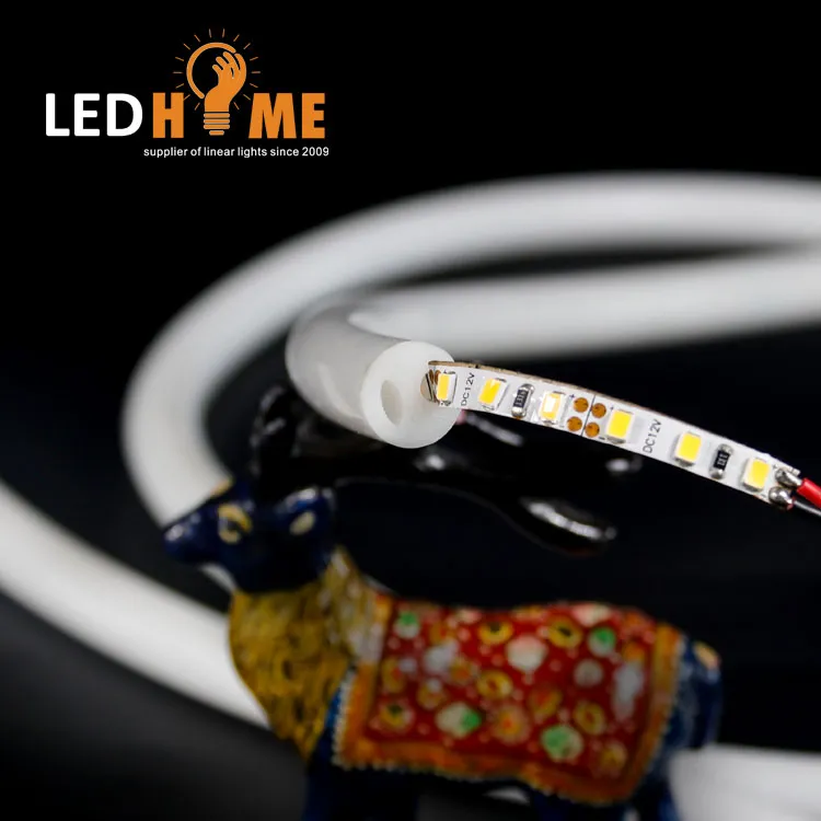 Neon LED Strip Application