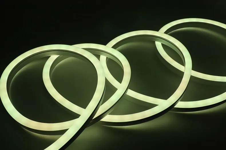 LED Neon Light Display 7