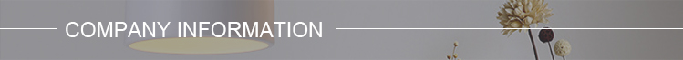 Company overview