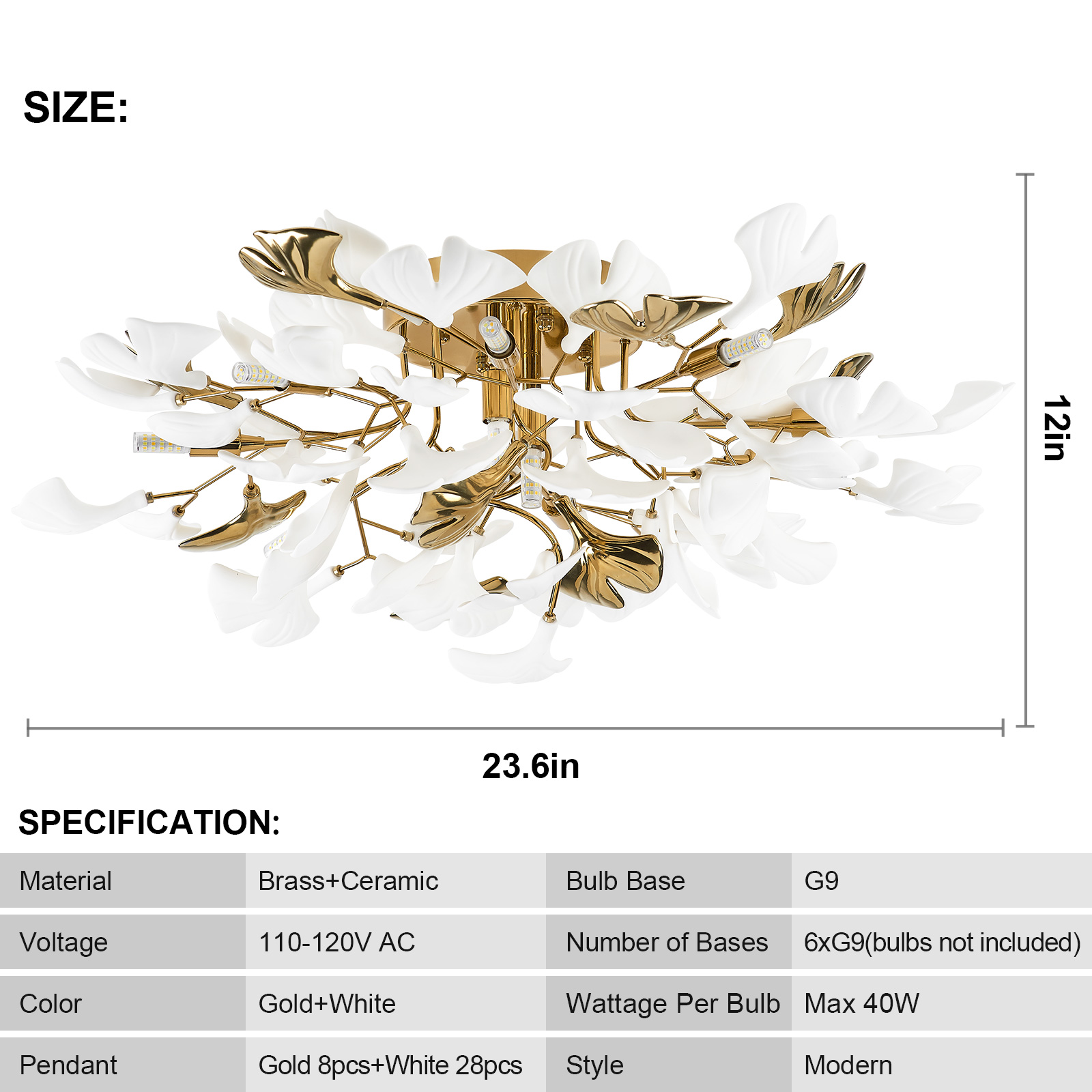Product Highlight