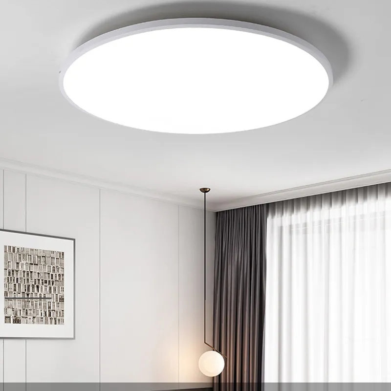 Modern Ceiling Lamp 2