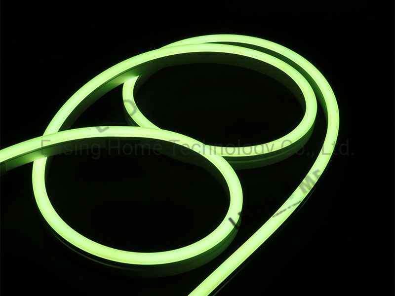 DC12/24V Neon Flex Lighting/Decorative Lighting