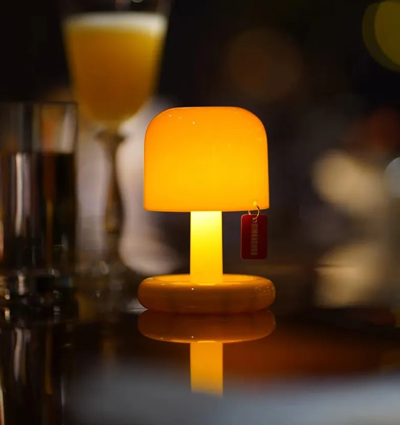 LED Decorative Ambient Lighting