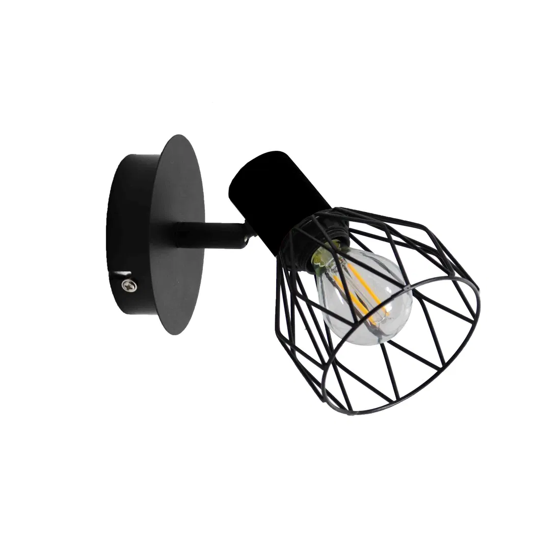 Spot Light Choice 1