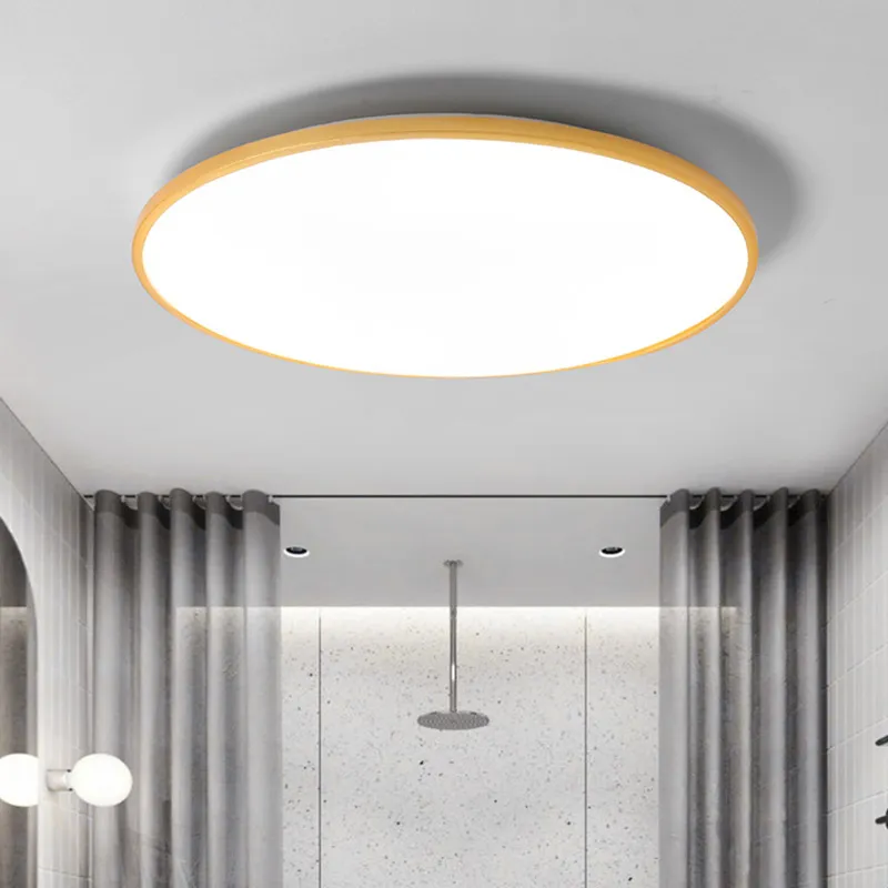 Modern Ceiling Lamp 3