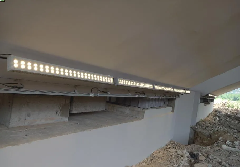 Outdoor Linear Wall Washer Project Application 1