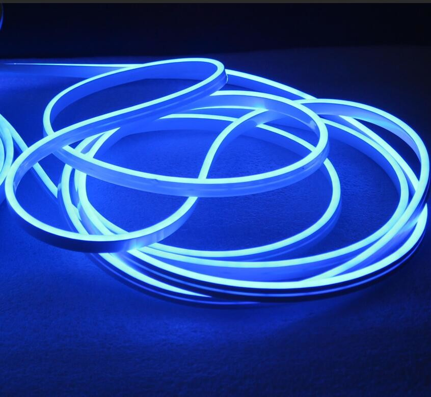 LED Neon Lightsstrip Decorative Lighting 5V USB Gift Neon Lamp for Bar