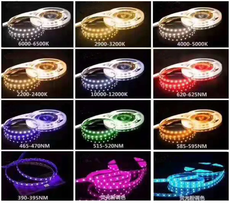 LED Strip Light Color Options