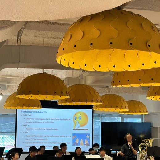 Customized Modern Chandelier Fashion Design with Sound-Absorbing Felt for Living Room Office Restaurant Decorative Lighting