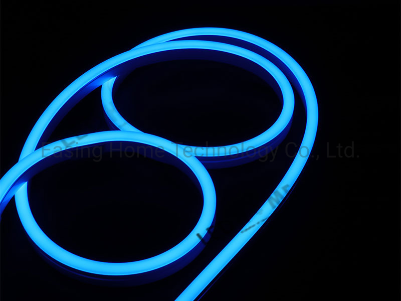 DC12/24V Neon Flex Lighting/Decorative Lighting
