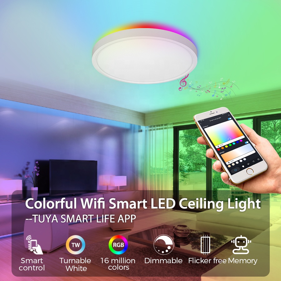 Smart Indoor Home Light 24W Light Ceiling WIFI Tuya APP Voice Control Multi Color Decoration 12inch 300mm LED Ceiling Light