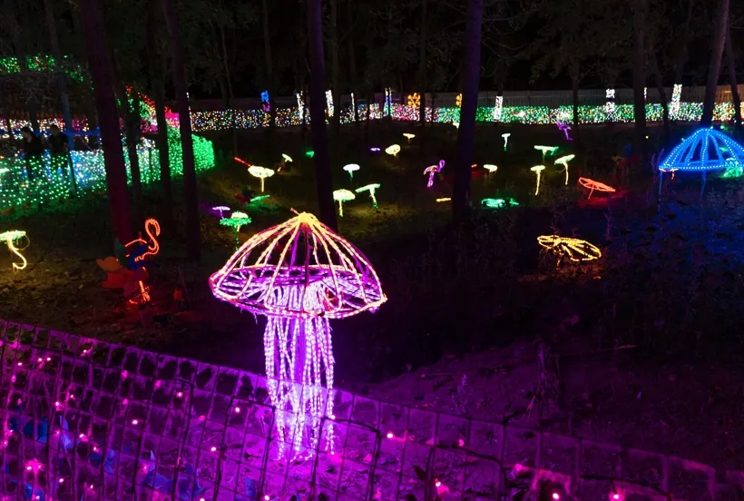Festival Decorative Light