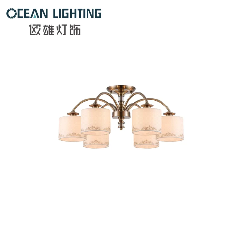 Indoor Light Fixture 2