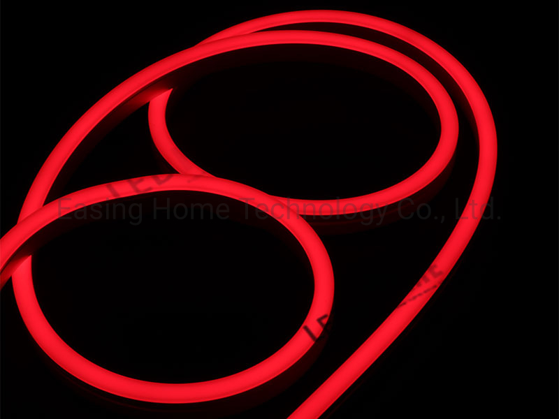 DC12/24V Neon Flex Lighting/Decorative Lighting
