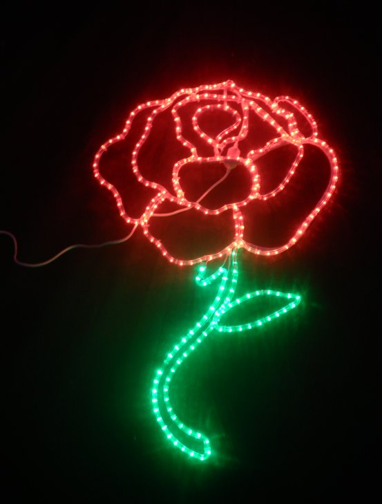 LED Rope Light Detail 3