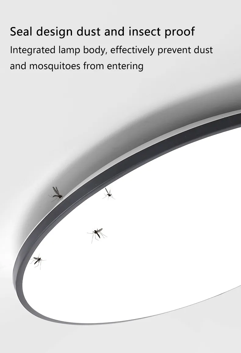 Modern Ceiling Lamp 7
