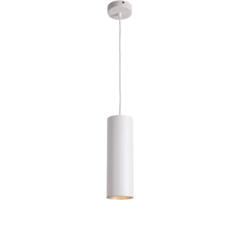 China Indoor Exterior Architectural Modern Decorative Commercial Smart Housing Adjustable Surface Mount Spot COB LED Downlight