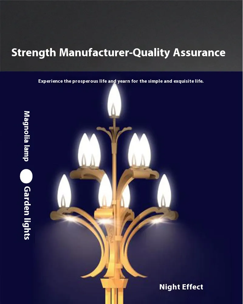 Outdoor Lighting Solution 1