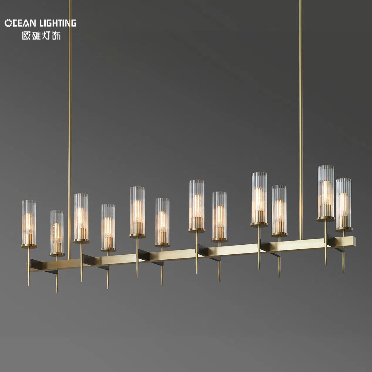 Living Room Lamps LED Bedroom Metal Decorative Pendant Light Chandelier Lighting