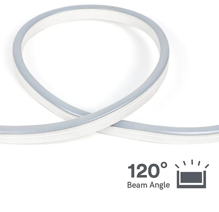 LED Smart Neon Lighting 5